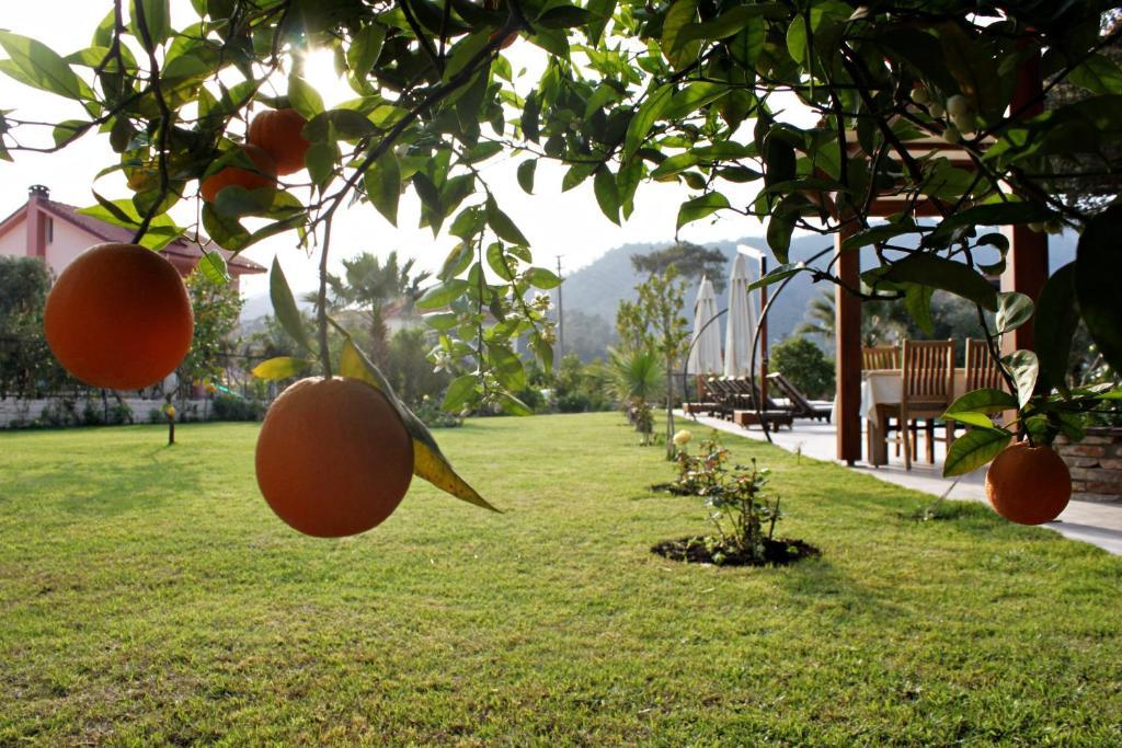 Gocek Arion Hotel Kültér fotó